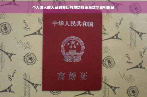 个人法人收入证明背后的成功故事与数字真相揭秘