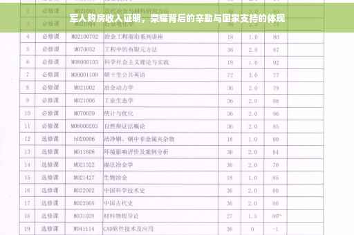 军人购房收入证明，荣耀背后的辛勤与国家支持的体现