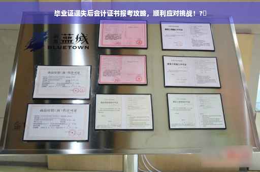 毕业证遗失后会计证书报考攻略，顺利应对挑战！?✨