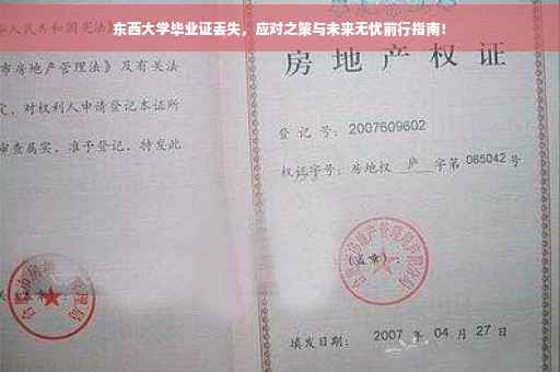 东西大学毕业证丢失，应对之策与未来无忧前行指南！