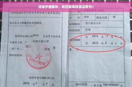 详细步骤解析，如何查看结案证明书？