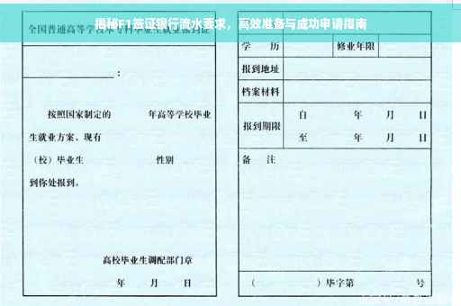 揭秘F1签证银行流水要求，高效准备与成功申请指南
