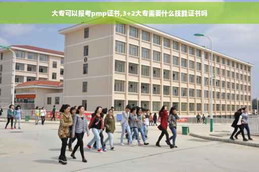 大专可以报考pmp证书,3+2大专需要什么技能证书吗