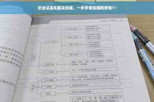 毕业证丢失解决攻略，一步步帮你摆脱烦恼?✨