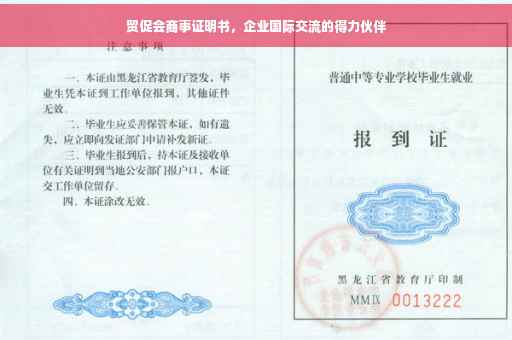 贸促会商事证明书，企业国际交流的得力伙伴