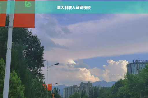意大利收入证明模板