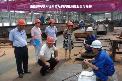 南昌燃气收入证明背后的真相深度洞察与揭秘