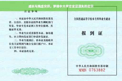 成长与焦虑交织，梦境中大学毕业证遗失的启示