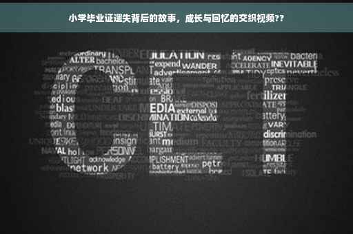 小学毕业证遗失背后的故事，成长与回忆的交织视频??
