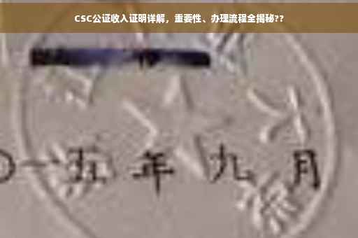 CSC公证收入证明详解，重要性、办理流程全揭秘??