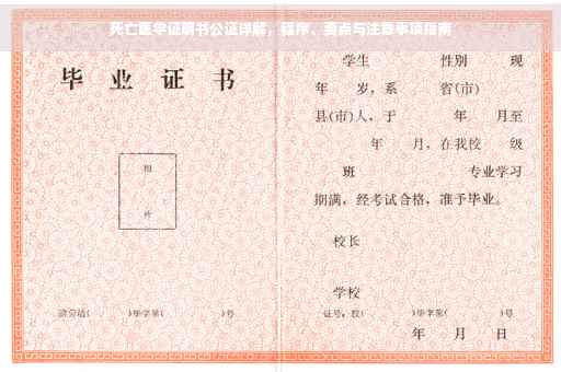 死亡医学证明书公证详解，程序、要点与注意事项指南