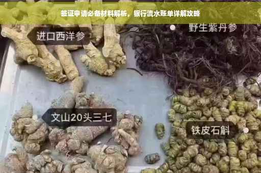 签证申请必备材料解析，银行流水账单详解攻略