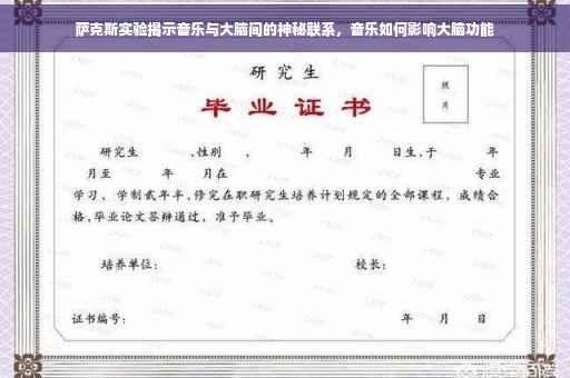 萨克斯实验揭示音乐与大脑间的神秘联系，音乐如何影响大脑功能