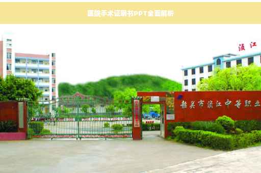 医院手术证明书PPT全面解析