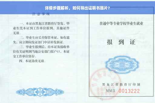 详细步骤解析，如何导出证明书图片?