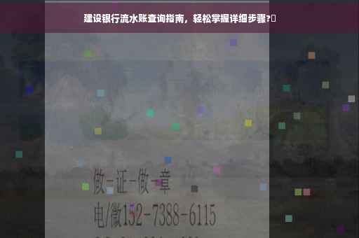 建设银行流水账查询指南，轻松掌握详细步骤?✨