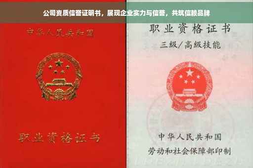 公司资质信誉证明书，展现企业实力与信誉，共筑信赖品牌