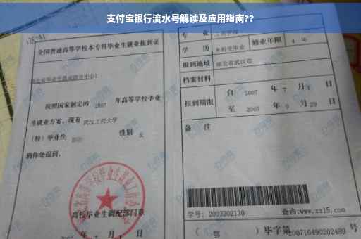 支付宝银行流水号解读及应用指南??