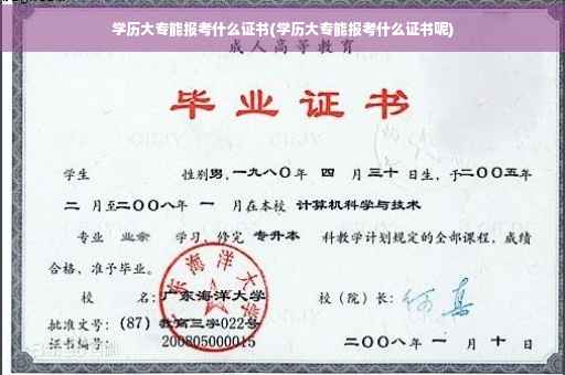 学历大专能报考什么证书(学历大专能报考什么证书呢)