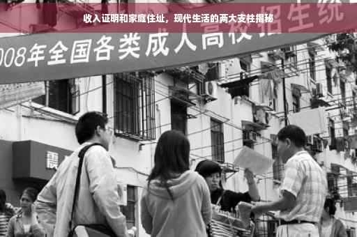 收入证明和家庭住址，现代生活的两大支柱揭秘