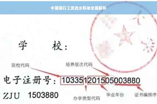 中国银行工资流水账单全面解析