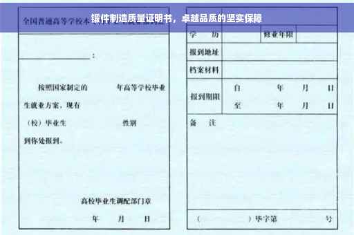 锻件制造质量证明书，卓越品质的坚实保障
