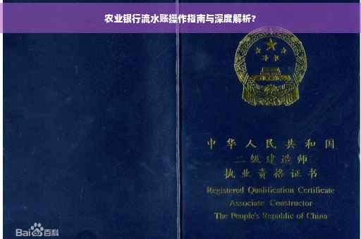 农业银行流水账操作指南与深度解析?