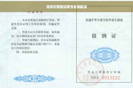 肾结石医院证明书全面解读