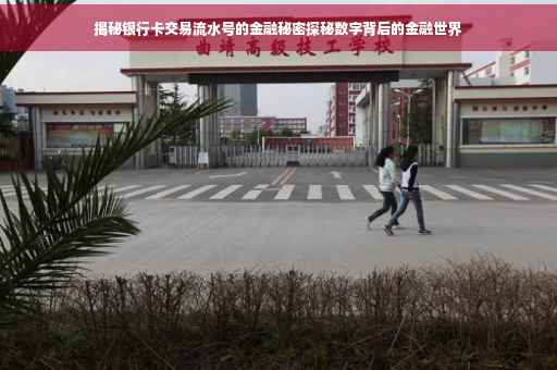 揭秘银行卡交易流水号的金融秘密探秘数字背后的金融世界