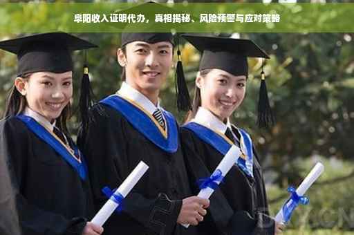阜阳收入证明代办，真相揭秘、风险预警与应对策略