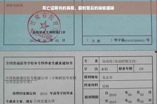 死亡证明书的真相，解剖背后的秘密揭秘