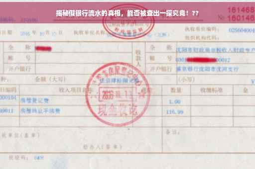 揭秘假银行流水的真相，能否被查出一探究竟！??