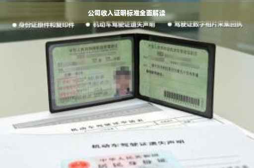 公司收入证明标准全面解读