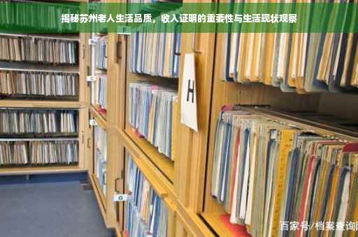 揭秘苏州老人生活品质，收入证明的重要性与生活现状观察