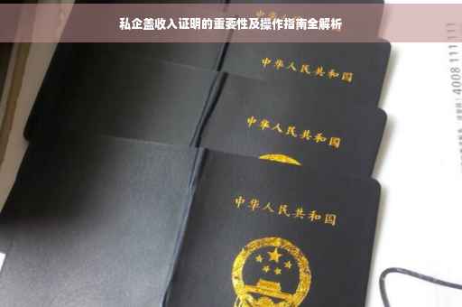 私企盖收入证明的重要性及操作指南全解析