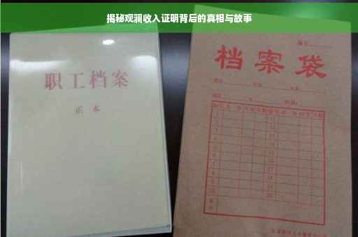 揭秘观澜收入证明背后的真相与故事