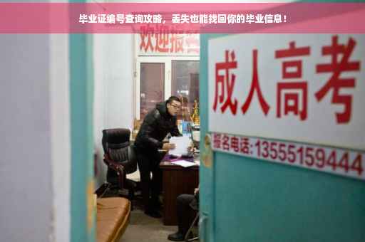 毕业证编号查询攻略，丢失也能找回你的毕业信息！