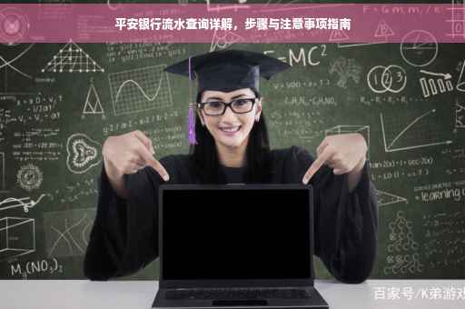 平安银行流水查询详解，步骤与注意事项指南
