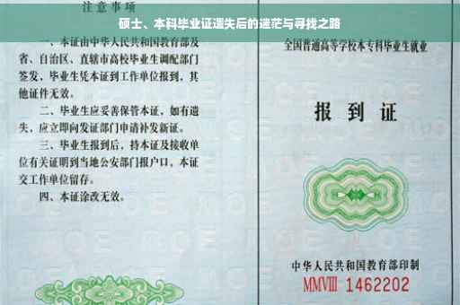 硕士、本科毕业证遗失后的迷茫与寻找之路