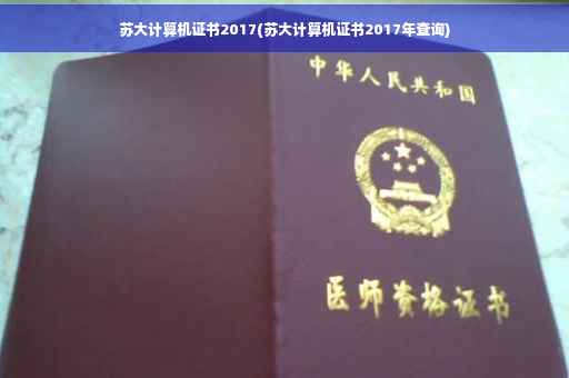 苏大计算机证书2017(苏大计算机证书2017年查询)