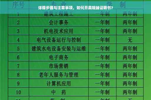 详细步骤与注意事项，如何开具姐妹证明书？