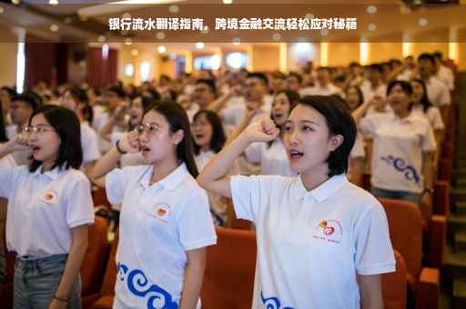 银行流水翻译指南，跨境金融交流轻松应对秘籍