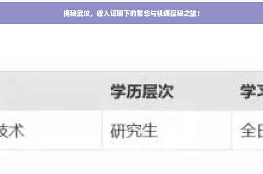 揭秘武汉，收入证明下的繁华与机遇探秘之旅！