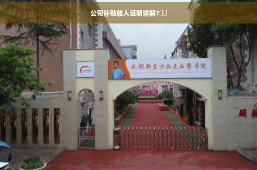 公司补贴收入证明详解?⚡️