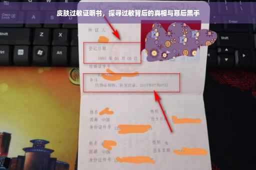 皮肤过敏证明书，探寻过敏背后的真相与幕后黑手