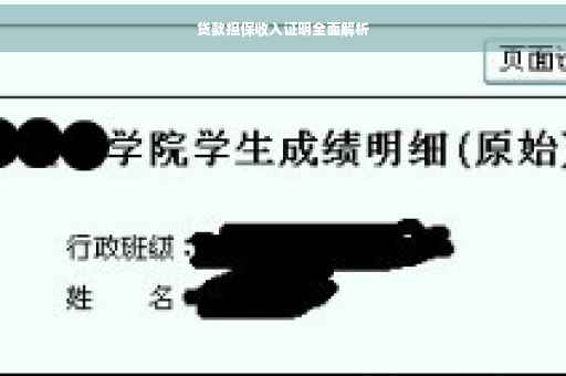 贷款担保收入证明全面解析