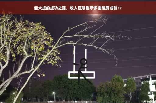 储大成的成功之路，收入证明揭示多重维度成就??