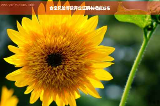 食堂风险等级评定证明书权威发布