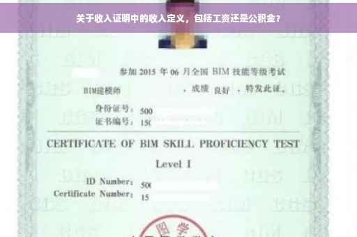 关于收入证明中的收入定义，包括工资还是公积金？
