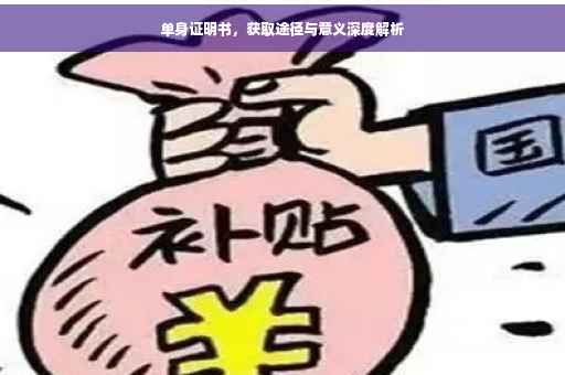 单身证明书，获取途径与意义深度解析